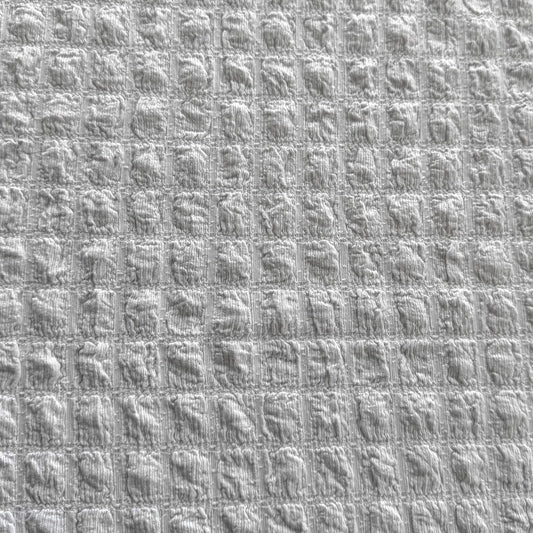 OFF WHITE HAWAI GRANDE RAVIOL