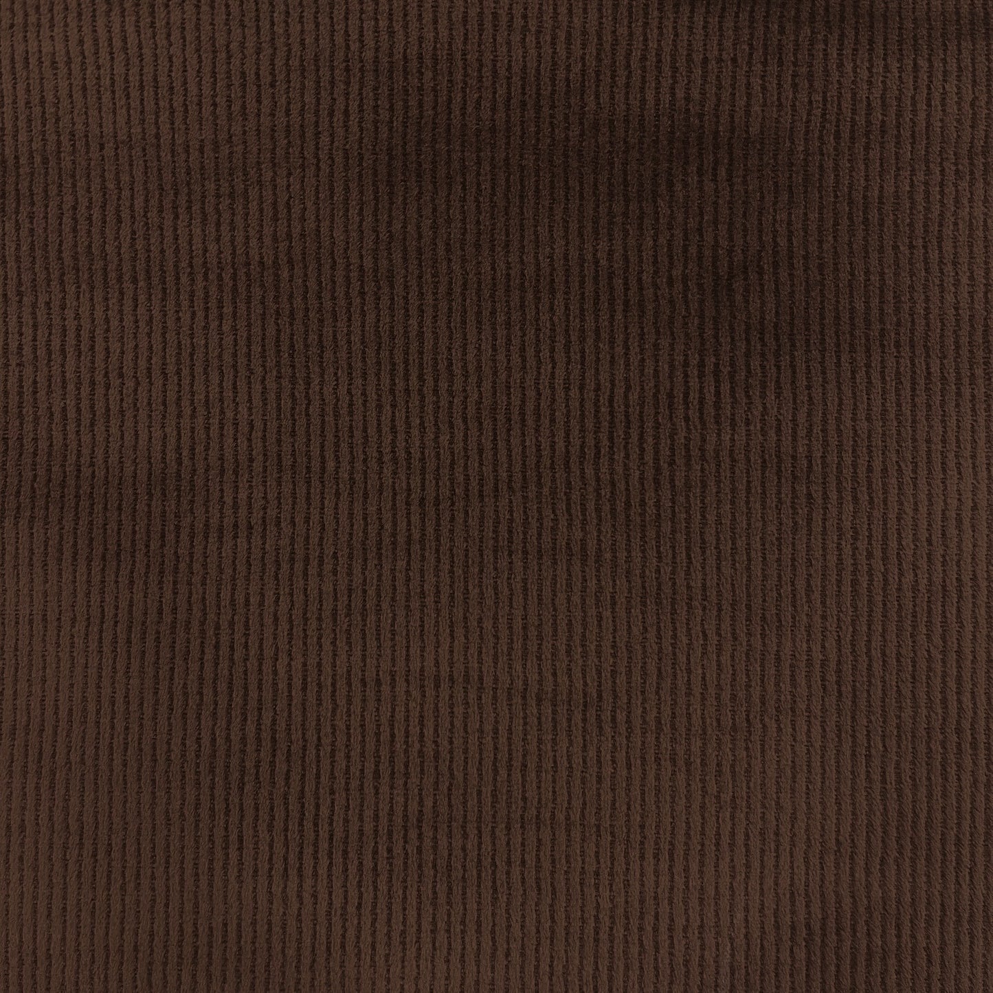 PREVENTA MORLEY PLUSH BIFAZ