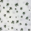 SALVIA / 1